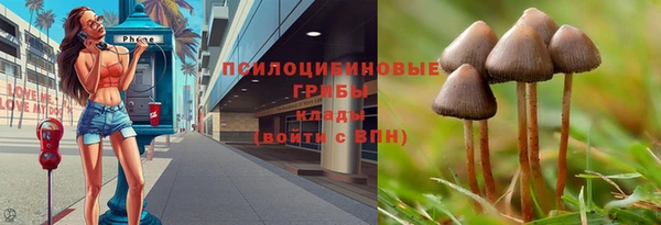 герыч Бородино