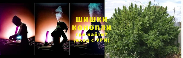 мдпв Бронницы