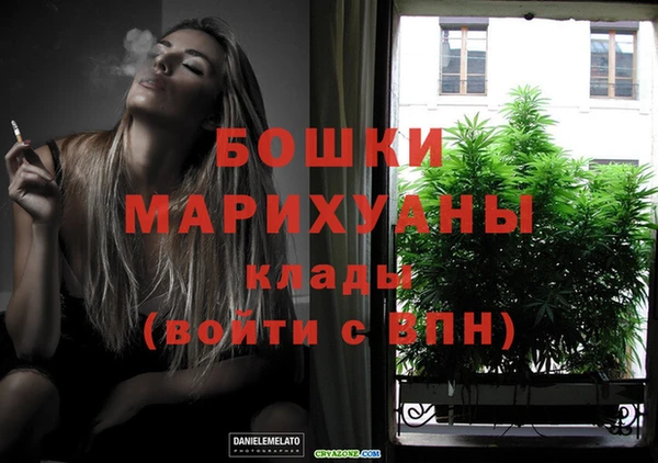 мдпв Бронницы