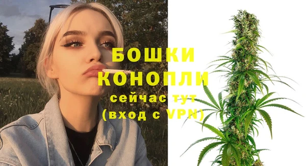 мдпв Бронницы