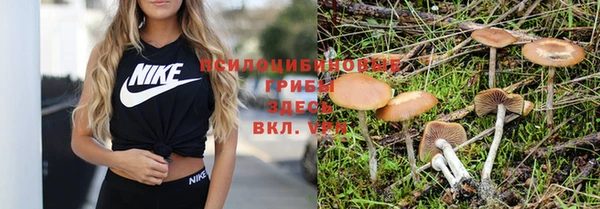 мдпв Бронницы