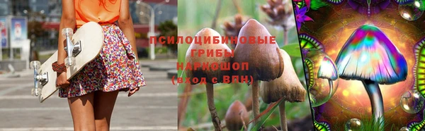 мдпв Бронницы