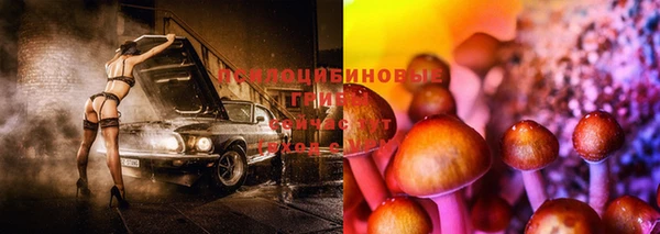 винт Бугульма
